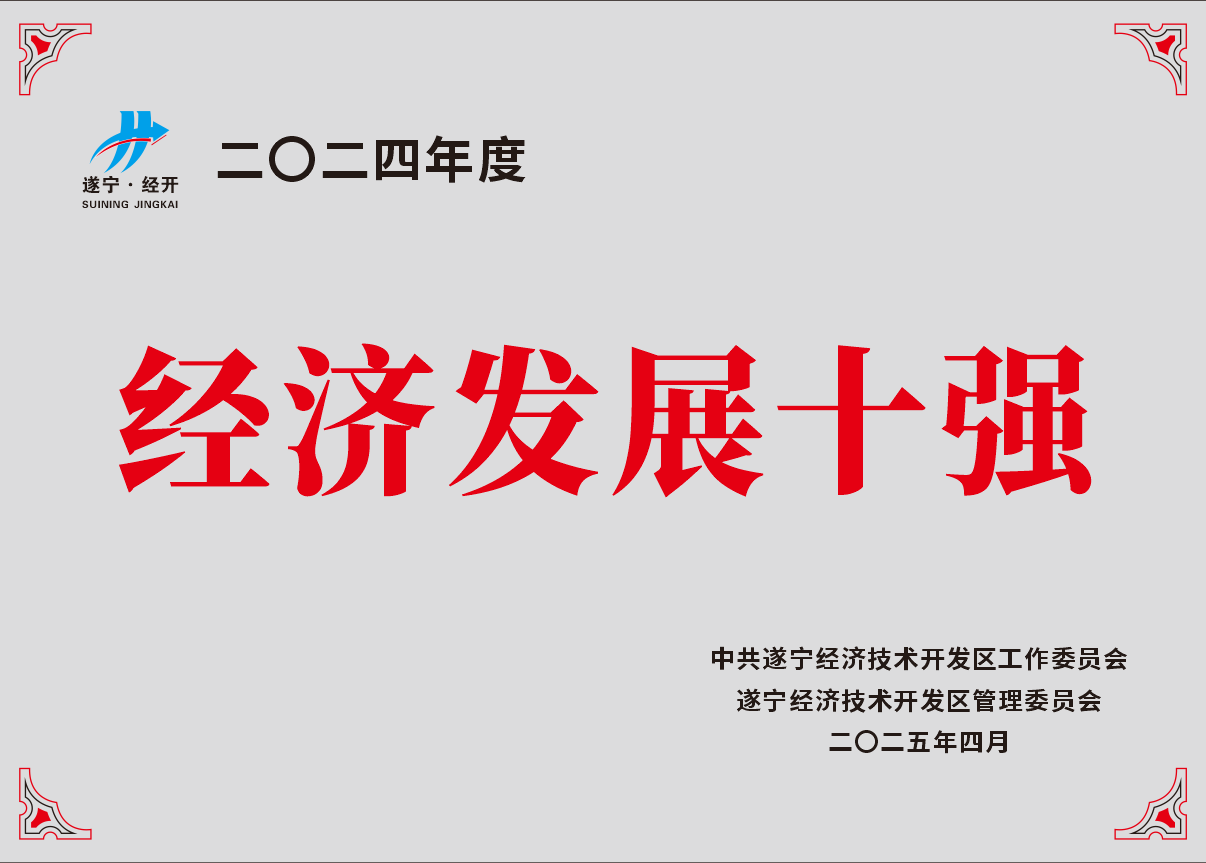 经济发展十强 202504.png